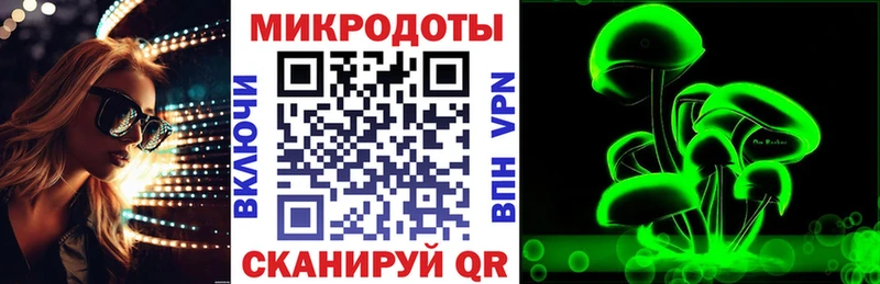 Псилоцибиновые грибы мицелий  что такое   Опочка 