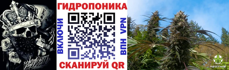 Каннабис Bruce Banner  Опочка 